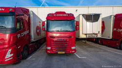 20251122-Daemen-00167